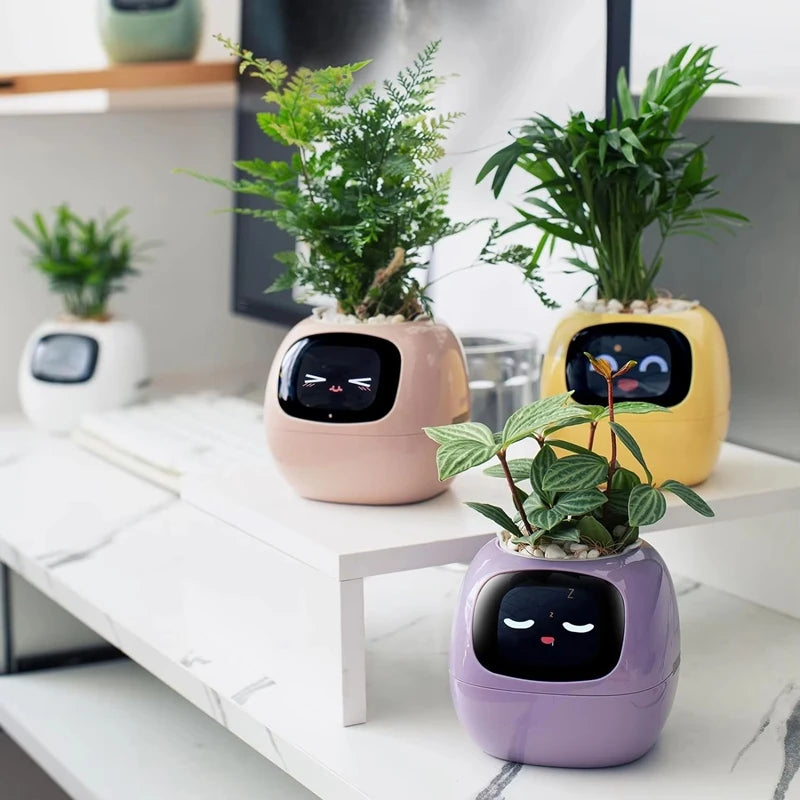 Smart Pet Planter