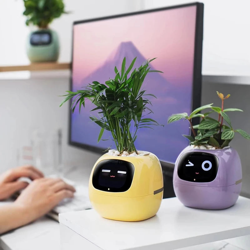 Smart Pet Planter