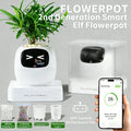 Smart Pet Planter